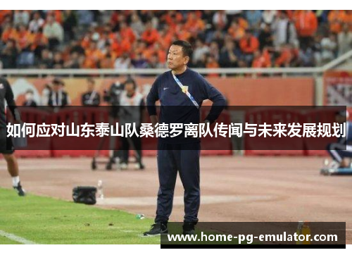 如何应对山东泰山队桑德罗离队传闻与未来发展规划 如何应对山东泰山队桑德罗离队传闻与未来发展规划
