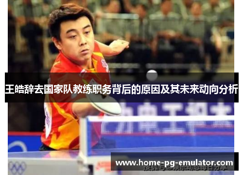 王皓辞去国家队教练职务背后的原因及其未来动向分析