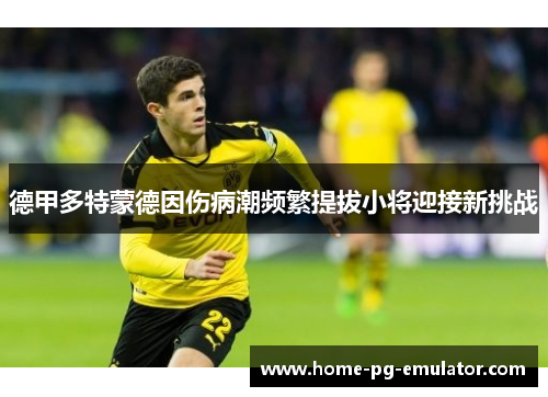 德甲多特蒙德因伤病潮频繁提拔小将迎接新挑战