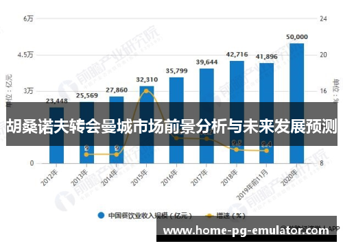 胡桑诺夫转会曼城市场前景分析与未来发展预测 胡桑诺夫转会曼城市场前景分析与未来发展预测