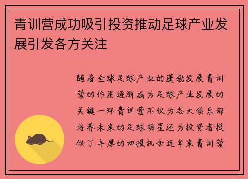 青训营成功吸引投资推动足球产业发展引发各方关注